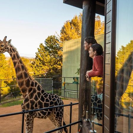 Jamala Wildlife Lodge แคนเบอร์รา ภายนอก รูปภาพ
