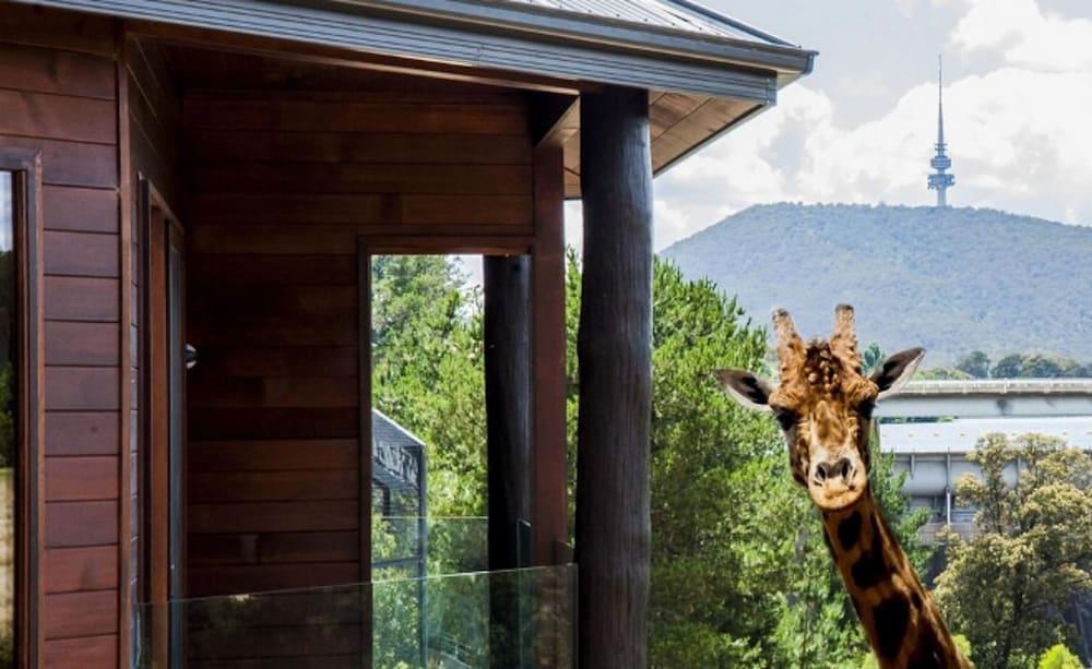 Jamala Wildlife Lodge แคนเบอร์รา ภายนอก รูปภาพ