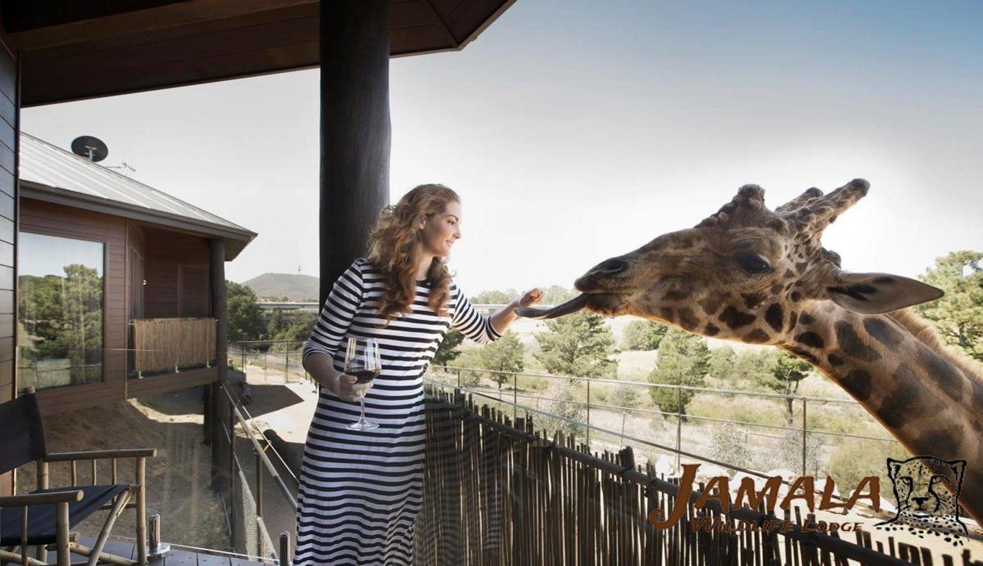 Jamala Wildlife Lodge แคนเบอร์รา ภายนอก รูปภาพ